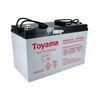 Акумуляторна батарея Toyama NPG100-12 - фото товару 1