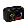 MOTO FTZ12S-BS (YTZ12S-BS) (12V, 11A) - фото товару 1