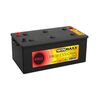 Автомобильный аккумулятор WINMAXX PROFESSIONAL AGM 245 Ah - фото товара 1