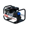 Бензиновий генератор Fogo F3001R - фото товару 1