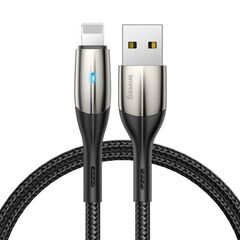 Baseus Горизонтальный кабель USB 2.0 to Lightning 1.5A 2M черный (CALSP-C01) - фото товара 1