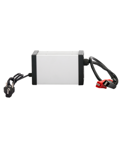 Зарядний пристрій для акумуляторів LiFePO4 12V (14.6V)-40A-480W - фото товару 1