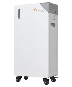Акумулятор FelicityESS FLB48314TG1-H
