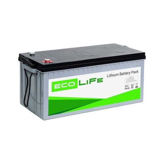 Акумулятор EcoLife 24-100 LiFePO4 (пластиковий корпус) - фото товару 1