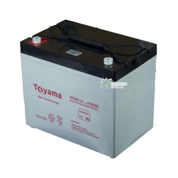 Акумуляторна батарея Toyama NPG80-12 - фото товару 1