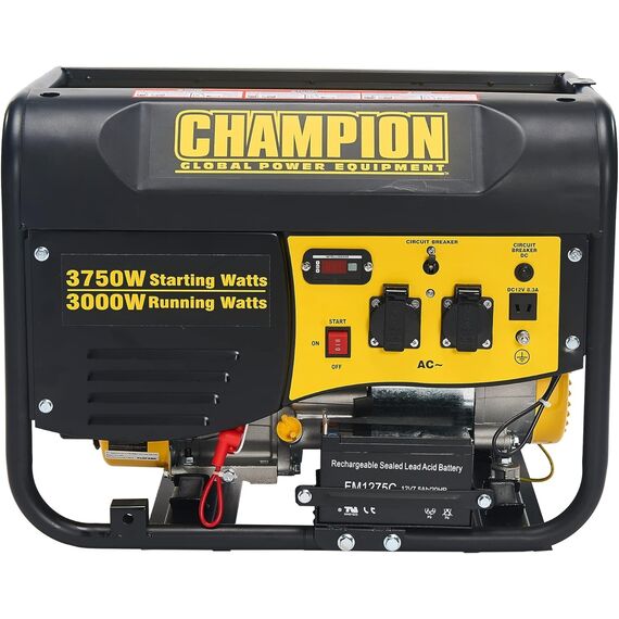 Інверторний генератор Champion CPG 4000E1 - фото товара 2