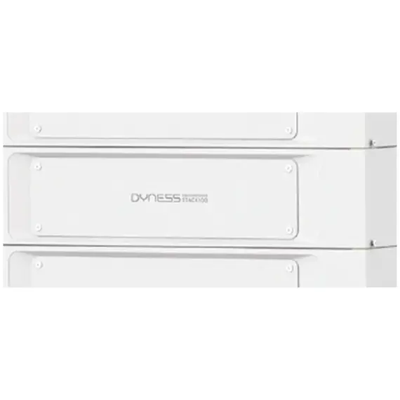 Модуль Dyness S51100 крупним планом 590×390×133.5 мм